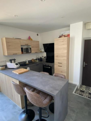 Appart Cosy sur Berges de Garonne pour Vacances & Affaires